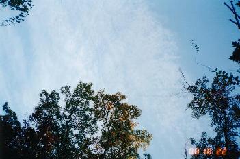 pond3_.jpg (18060 bytes)