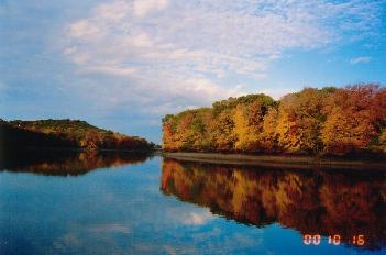 pond4_.jpg (13772 bytes)