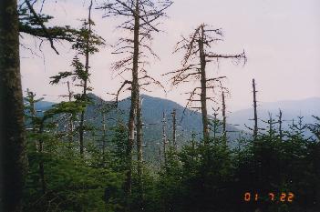 view_.jpg (18955 bytes)